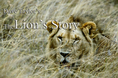The Lion's Story (e-book)