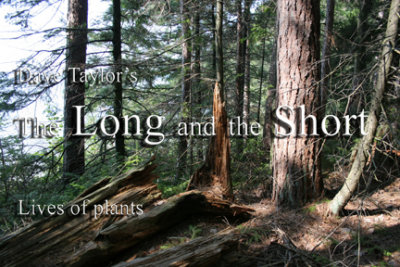 The Long and the Short; Life Stories (e-book)
