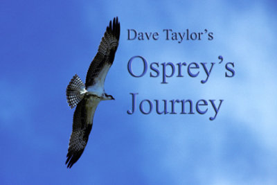 Osprey's Journey (e-book)