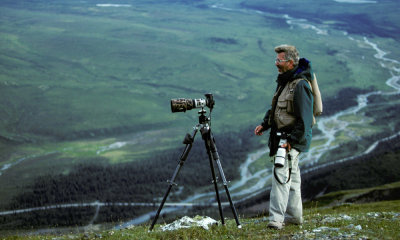 Photographer, Denali