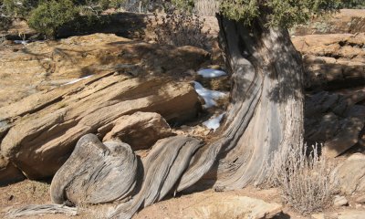 Canyon de Chelly NM