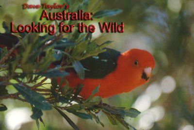 Australia; Looking for the Wild (e-book)