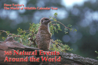365 Natural Events Around the World (e-book)