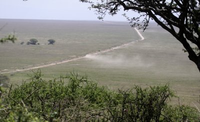 Approachihg Serengeti