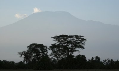 Amboseli N.P, Kilimanjaro