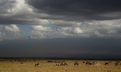 Amboseli N.P. storm