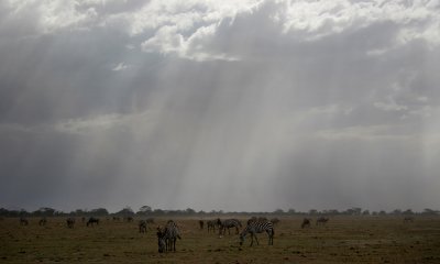 Amboseli N.P. storm
