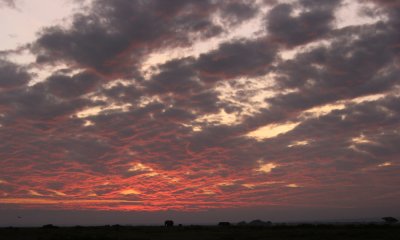 Amboseli N.P. sunset