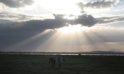 Amboseli N.P. sunset