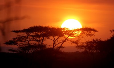 Sunrise Ndutu, NCA