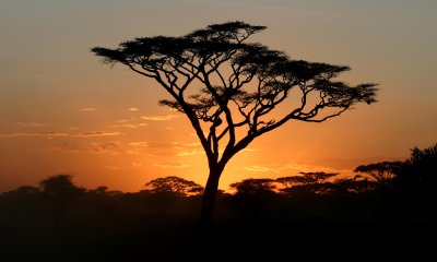Sunset Ndutu, NCA