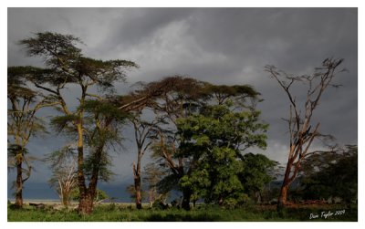 Ngorongoro storm