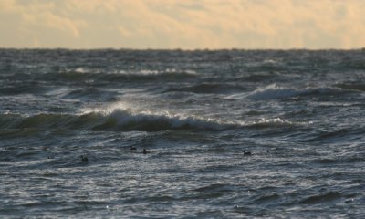 Lake Ontario