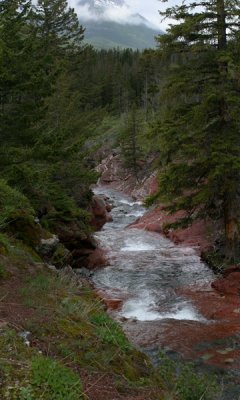 Red Rock Canyon, Waterton Lakes N.P.