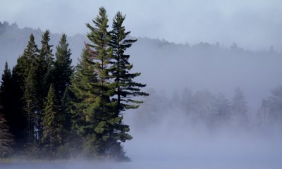 Morning mist, Algonquin Park