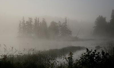 Morning mist, Algonquin Park