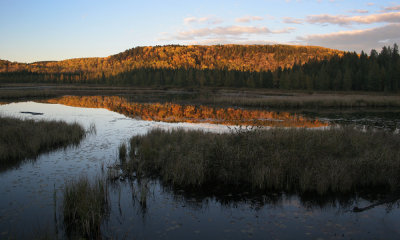 Sunset, Algonquin Park,