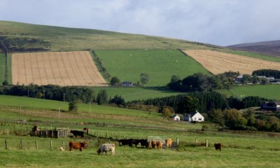 Farm, England