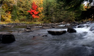 Oxtongue River