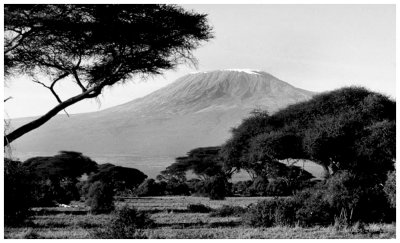 Kilimanjaro, Amboseli N.P.
