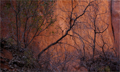 Arches N.M.