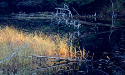 Lake, Haliburton
