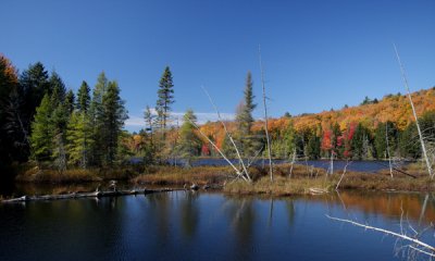g4/00/990200/3/138756505.qivLVadr.jpg
