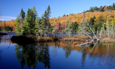 Lake, Haliburton