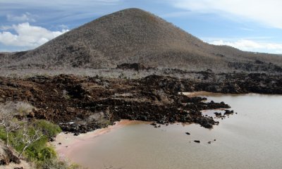 Galapagos