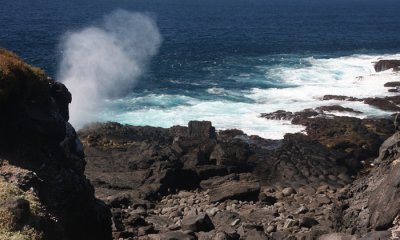 Blow Hole