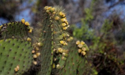 IMG_9777.JPG