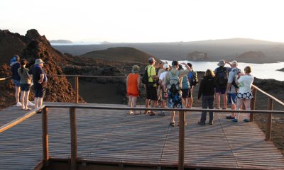 Pinnicale Point overlook