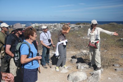 Albatroos Group