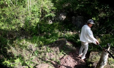 Lava Tubes
