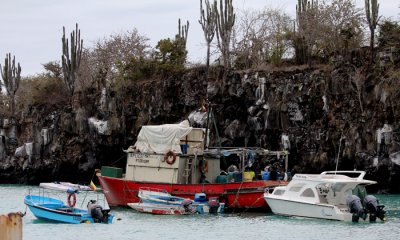 Aroya Port, Santa Cruz