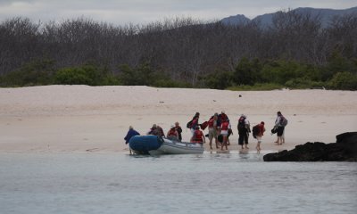 Galapagos: Day 8  The Trip Side (Bachas Beach/ Santa Cruz)