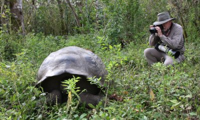 Giant Tortoises 146.JPG
