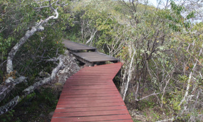 Giant Tortoise Research Centre