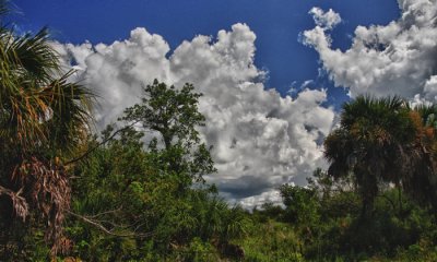 Strom Clouds, Sanibel