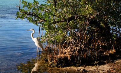 Key West