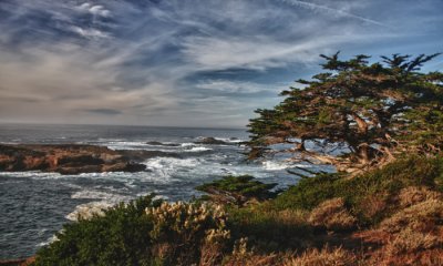 Point Lobos State Park (HDR)