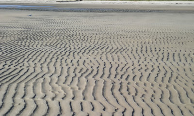 Maine
