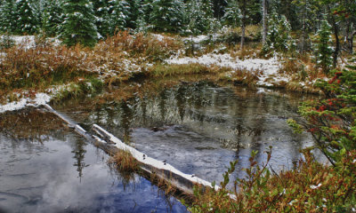 Canadian Rockies 2012