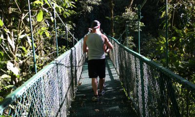 Cloud forest, Monteverde