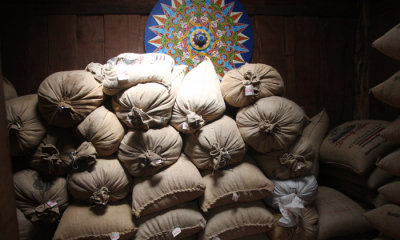 Coffee tour, Monteverde