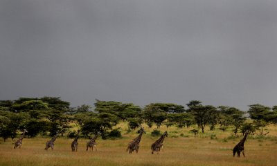g4/00/990200/3/144831018.Ah1Mvq7C.jpg