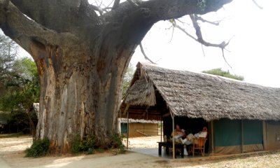 Tarangire Safari Lodge, Tarangire N.P.