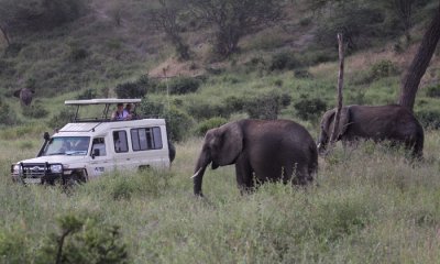 Tarangire Safari Lodge, Tarangire N.P.