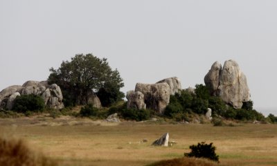 Serengeti Kopje