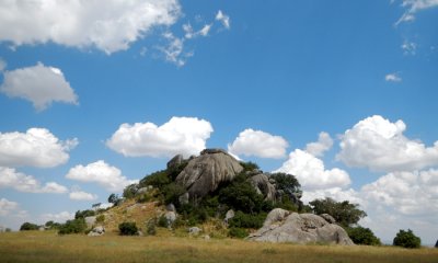 Serengeti Kopje